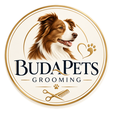 Rólunk budapets emblema fejlec 360x360